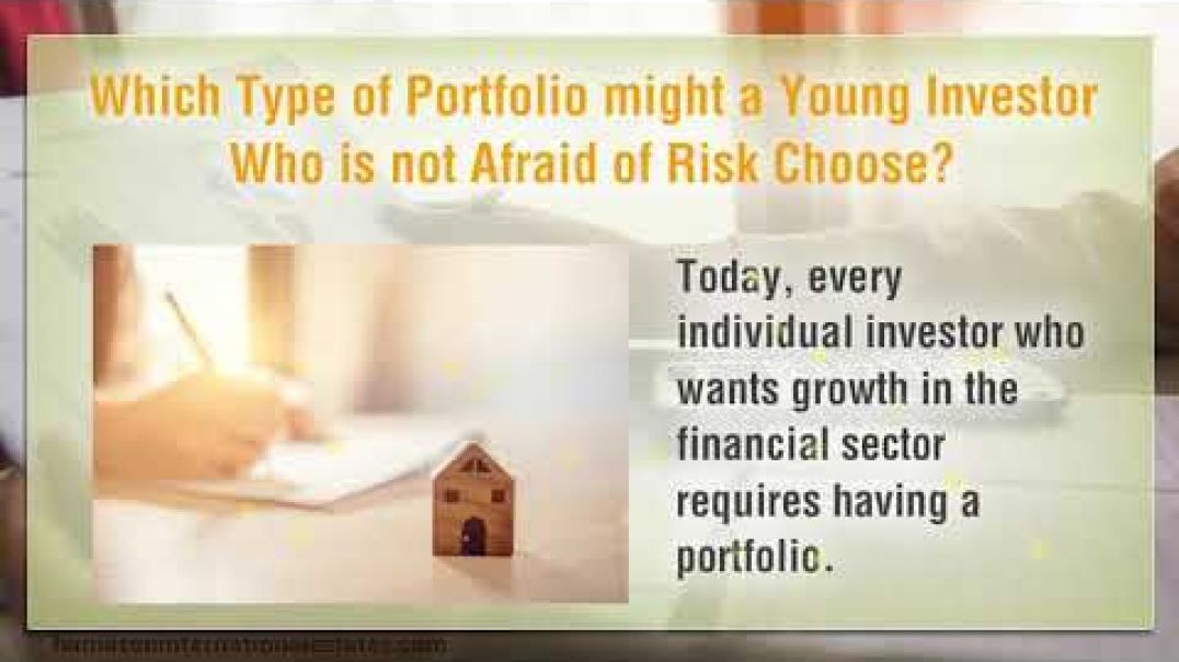 ⁣Which Type of Portfolio might a Young Investor Who is not Afraid of Risk Choose
