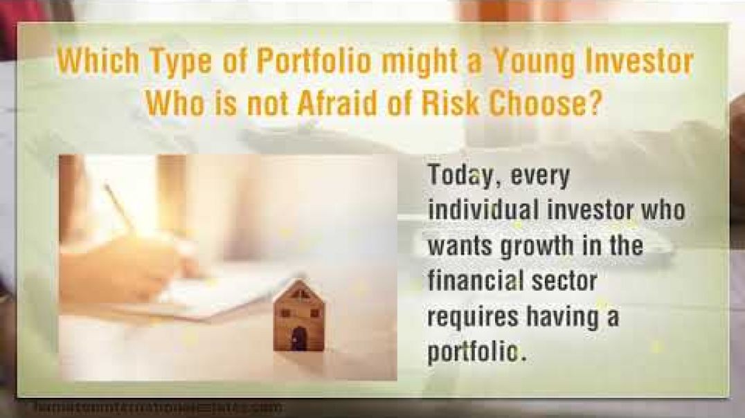 Which Type of Portfolio might a Young Investor Who is not Afraid of Risk Choose