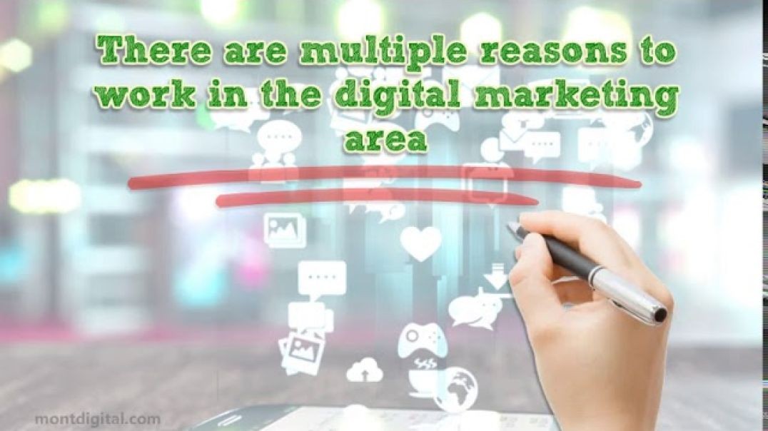 ⁣Why Work in Digital Marketing | Career in Digital Marketing
