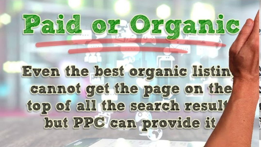 ⁣Search Engine Optimization |