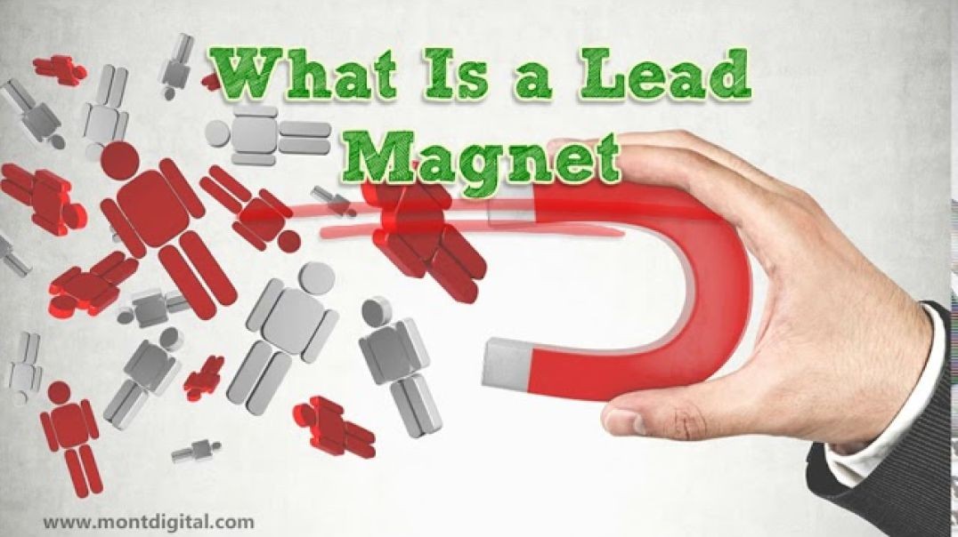 What are Lead Magnets