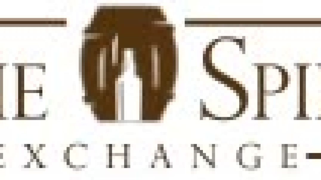 ⁣The Spirit Exchange Logo