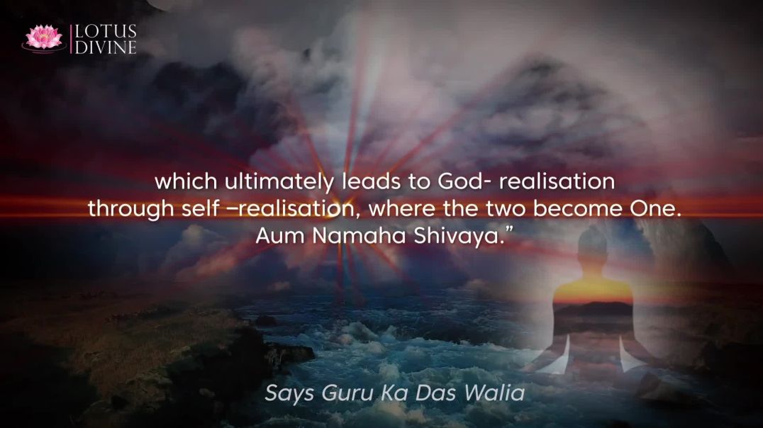 ⁣Pathways to Oneness: Self-Realisation Leading to God-Realisation