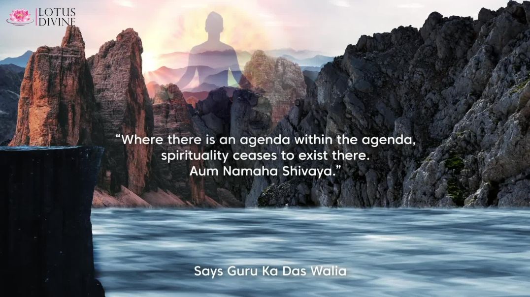 ⁣Living Without Agenda: Rediscovering Authentic Spirituality
