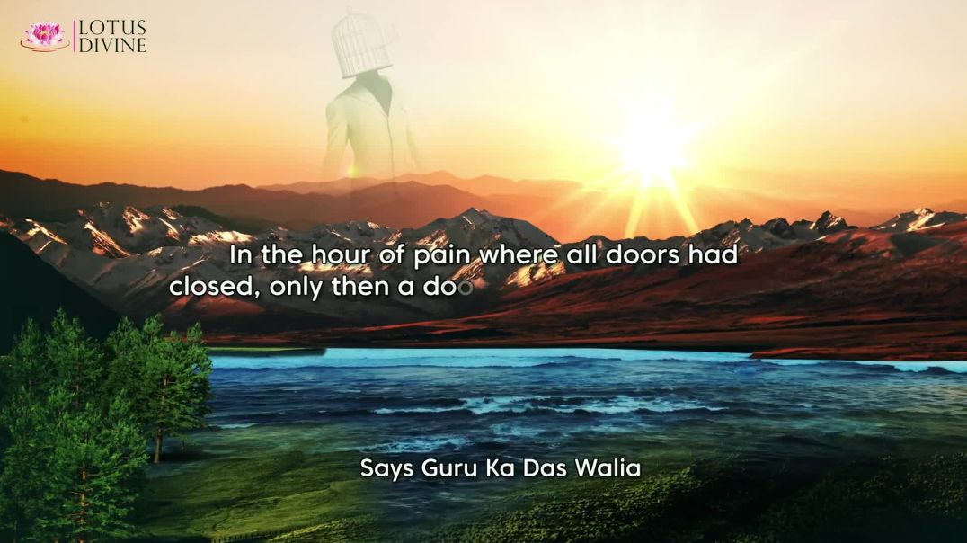 ⁣A Door of Hope in Times of Pain: The Guru's Spiritual Torch