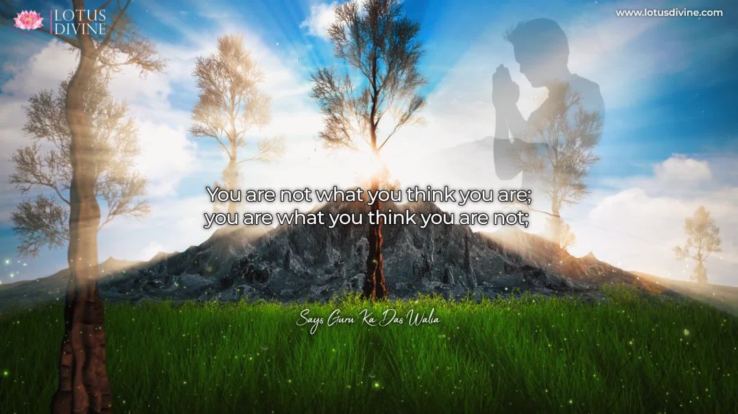 ⁣You are not what you think you are | Quote 221 #spirituality #spiritual #quotes #quotes