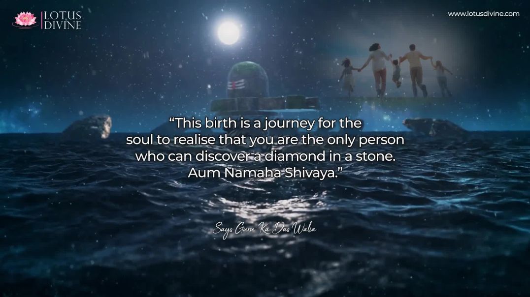⁣This birth is a journey for the soul to realise that you...| Quote 248