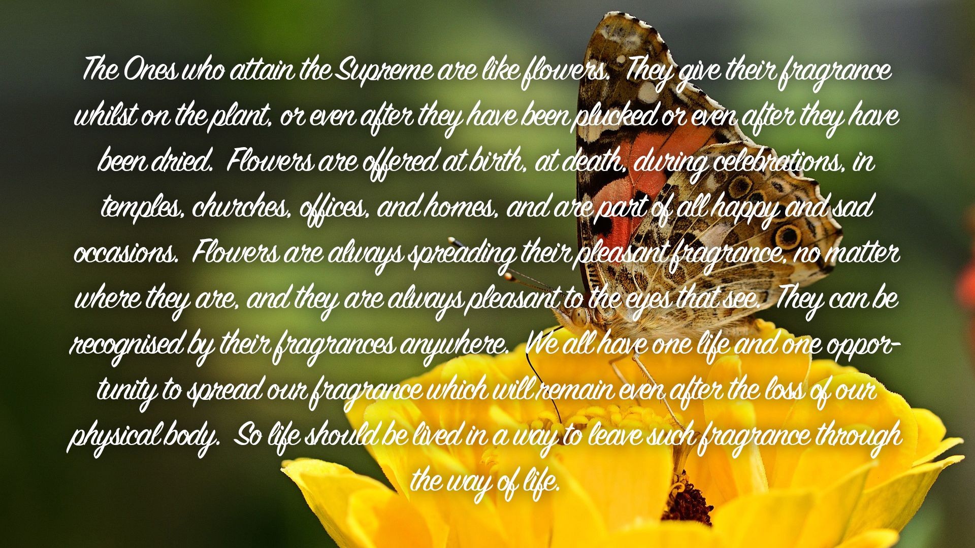 The Ones who attain the Supreme are like...| Quote 70 #spirituality #spiritual #quotes #quotes