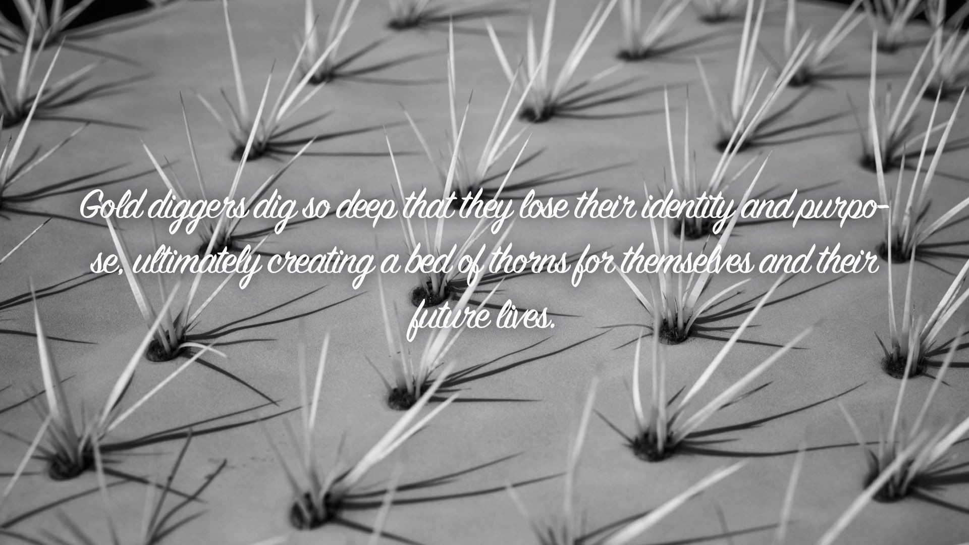 ⁣Gold diggers dig so deep that they lose their identity and purpose | Quote 234 #spirituality #spiritual #quotes #[5