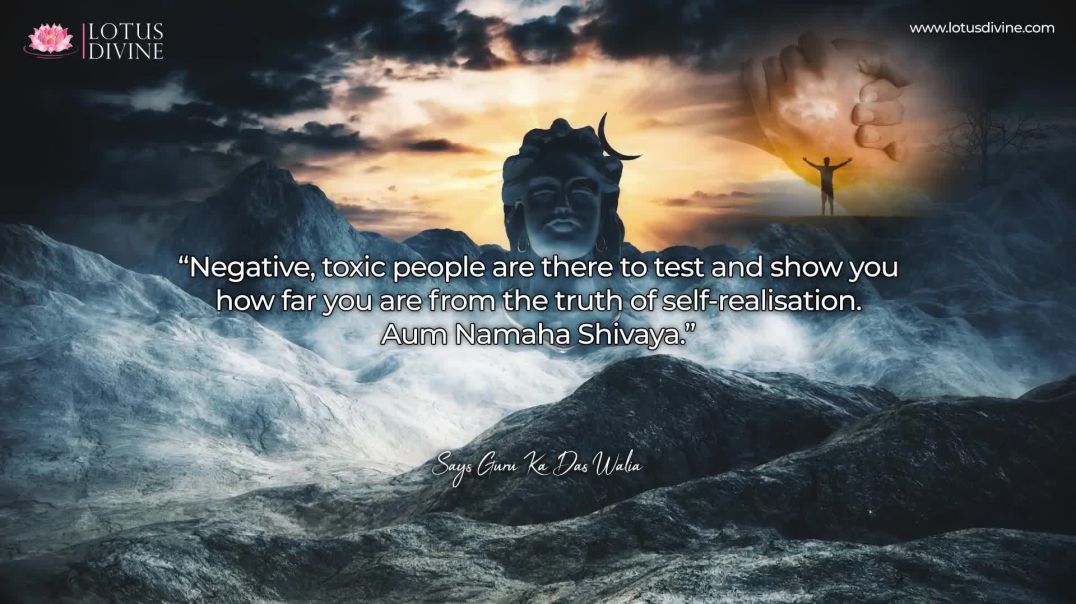 ⁣Negative, toxic people are there to test and show | Quote 244